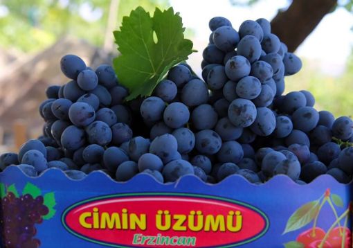 Erzincan Saruç, Erzincan Yöresel Ürünler, Erzincan Fındıklı Dövmeç, Erzincan Kayısı Kurusu, Erzincan Dut Kurusu, Erzincan Dermason Fasulye, Erzincan Kuru Fasulye, Kemah Yerli Ceviz, Erzincan Lavş Ekmeği, Erzincan Tandır Ekmeği, Erzincan Tandır Ketesi, Gendime Aşurelik Buğday, Erzincan Değirmen Köy Bulguru, Erzincan Tava Leblebi, Saruç, Kemah Tuzu,Süt Reçeli, Taze Çekilmiş Tahin,Zile Katı Üzüm Pekmezi, Erzincan Üzümü, Erzincan Cimin Üzümü, Cimin Üzümü